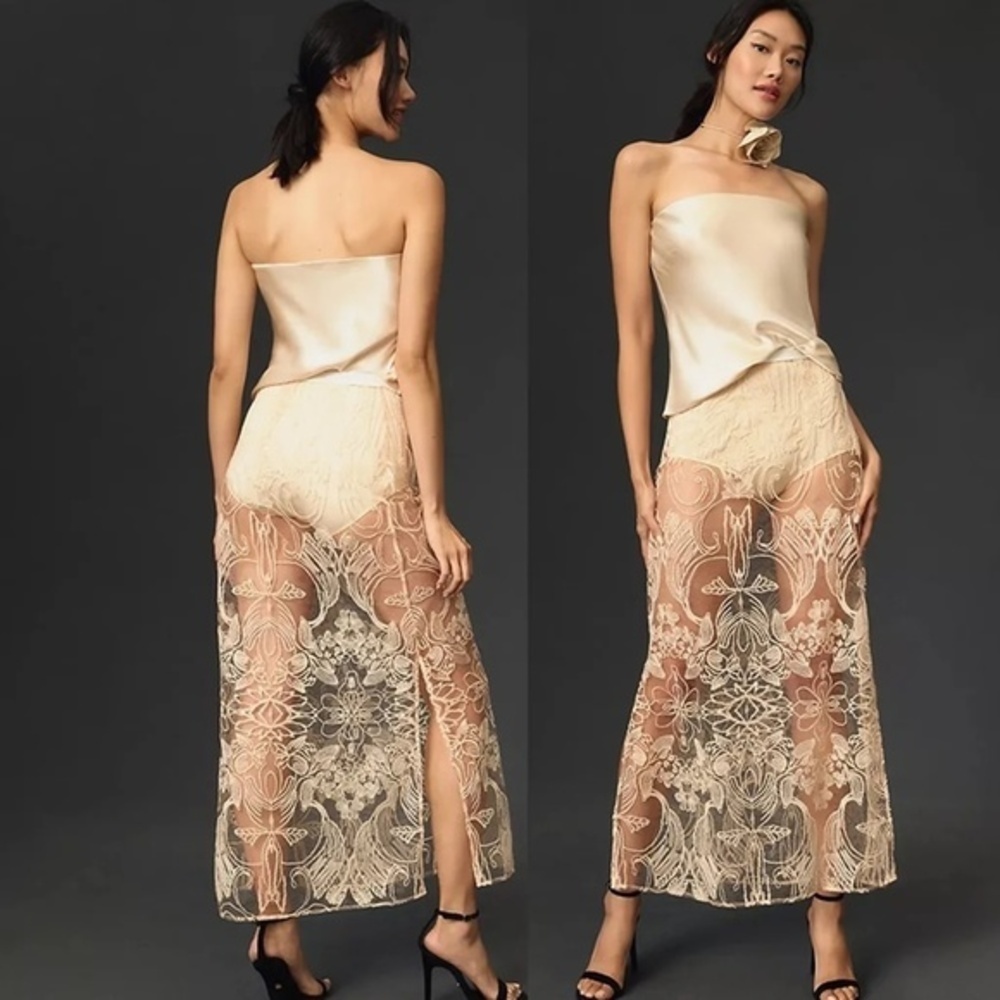 NWT Anthropologie Sheer Embroidered Skirt Rose Small